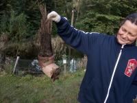 IMG_20220925_165038 (800x600).jpg